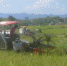涪陵区：水稻机收工作圆满结束 - 农业机械化信息