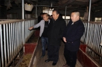 市农委副主任王健为巫溪畜牧产业发展“解题” - 农业厅