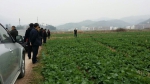 巫山县：重庆市生态涵养区农业机械化生产培训班在巫山县顺利召开 - 农业机械化信息