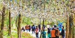重庆日报一版：国际森林日130处景区免费开放 - 林业厅