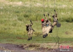 日自卫队队员遭南苏丹军队缴械 关押1小时称是误会 - 重庆新闻网