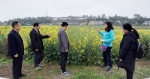 重庆市油菜生产机械化专家团队深入区县把脉指导机播油菜田间管理 - 农业机械化信息