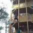 世界首座、实木森林游戏塔在玉峰山建成 - 重庆晨网