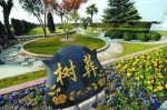树葬、花葬、草坪葬……重庆节地生态葬比例将达50% - 重庆晨网