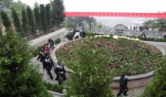 树葬、花葬、草坪葬……重庆节地生态葬比例将达50% - 重庆晨网