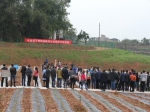 全国可降解地膜对比试验技术培训班在重庆召开 - 农业厅