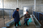 重庆动物疫控专家到忠县指导开展牛羊流行病学调查 - 农业厅