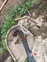 巫溪一农妇采摘椿芽掉进40多米深天坑后死亡 - 重庆晨网