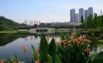 主城周边20处放风筝的胜地 任选一处周末跑起来 - 重庆晨网