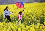 主城周边20处放风筝的胜地 任选一处周末跑起来 - 重庆晨网