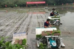 綦江区：水稻机插秧在永城复兴村开启秧门 - 农业机械化信息