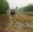 潼南区：多措并举助力春耕生产 - 农业机械化信息