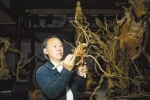 失传的根雕技艺重见天日，18年前他的作品就值360万！ - 重庆晨网