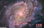 资料图：哈勃望远镜拍摄螺旋星系M83 - 重庆新闻网