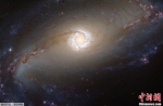美国宇航局公布的哈勃望远镜捕捉到的距离地球4500万光年的NGC1097星系壮丽恒星环照图。 - 重庆新闻网