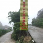 重庆周边竟藏了10个杨梅采摘地，好吃还便宜！ - 重庆晨网