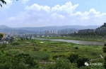 重庆这个地方厉害了！与北戴河、西溪湿地、沙家浜齐名 - 重庆晨网