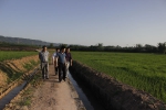 永川区：市农委农机专家指导机械化直播水稻工作 - 农业机械化信息