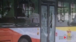 女子怒砸公交车 司机乘客都看懵了 - 重庆晨网