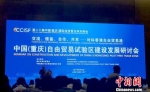 重庆将对标香港建设自贸试验(图) - 重庆新闻网