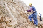 重庆云阳发现世界级侏罗纪恐龙化石群 - 重庆新闻网