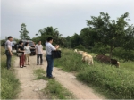草食牲畜产业技术体系创新团队陈红跃主任一行指导合川白山羊选育工作 - 农业厅