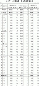 重庆市财政局公布上半年财政预算执行情况 - 财政厅