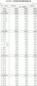 重庆市财政局公布上半年财政预算执行情况 - 财政厅