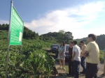 中国绿色食品发展中心陈兆云副主任到重庆调研无公害农产品发展情况 - 农业厅