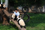 “大熊猫奶爸”的小幸福 - 重庆晨网