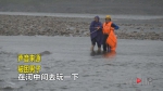 男子专注钓鱼被困江中 离岸四五十米远 - 重庆晨网