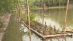 双桂湖国家湿地公园试点建设进入收尾阶段 - 重庆晨网