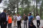 市林业局局长吴亚调研指导北碚区林业工作 - 林业厅