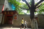 重庆最早景观大道渝州路拓宽在即 沿途几百棵大树怎么办？ - 重庆晨网