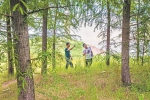 重庆日报：1500亩中山杉仍蔚然成林 守护长江万州段45公里江岸 - 林业厅