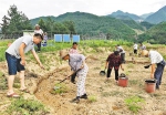 重庆日报：返乡当农民 种下一片致富林 - 林业厅