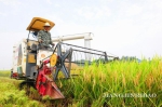 图为江津日报采访拍摄的图片 - 农业机械化信息