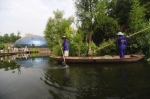 重庆时报：让湖水“呼吸”，璧山观音塘湿地打造一片“水下森林” - 林业厅