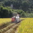 万州区：多举措助力水稻机收 - 农业机械化信息