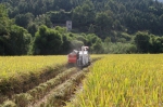 万州区：多举措助力水稻机收 - 农业机械化信息