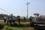 大足区：水稻机收忙，热线服务在 - 农业机械化信息