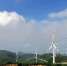 看风车观云海 重庆有个”小荷兰” - 重庆晨网