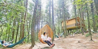 重庆日报：酒店“挂”树上 引来游客乐了村民 - 林业厅