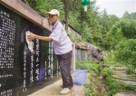 璧山区八塘镇退休教师幸世英22年建起580块石碑“碑林” - 重庆晨网