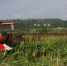 机收现场 - 农业机械化信息