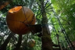 不用出国，在重庆就能睡到媲美全球的森林小木屋 - 重庆晨网
