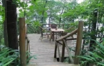 不用出国，在重庆就能睡到媲美全球的森林小木屋 - 重庆晨网
