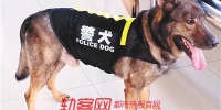 轻轨上的警犬很可爱 看下可以不要去逗哈 - 重庆晨网