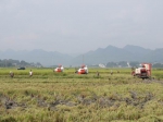 秀山县：全力组织开展水稻机收作业 - 农业机械化信息