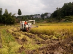 綦江区：高海拔地区水稻机收全面启动 - 农业机械化信息